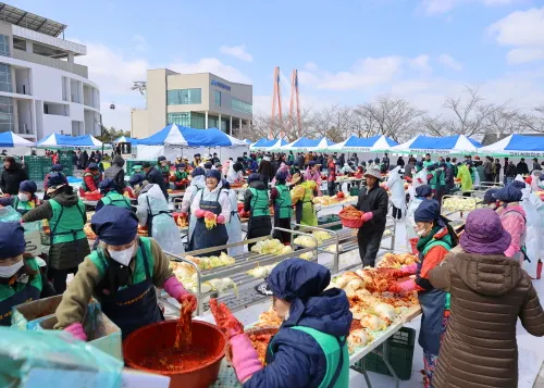 겨울 나고 더 달아진 해남배추로 봄 김장, 눈과 입이 즐거운 축제