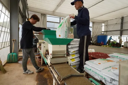 해남군, 농자재값 상승 속 풍년농사 약속하는 고품질 상토 지원 확대