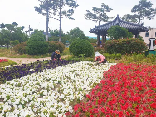 보성군, 상반기 직접 일자리 사업 참여자 대규모 모집