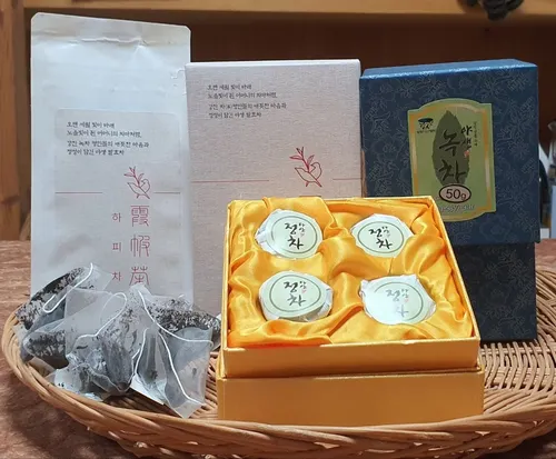 청정 자연과 역사가 어우러진 강진 야생차, 전통의 맛으로 전 세대 사로잡다