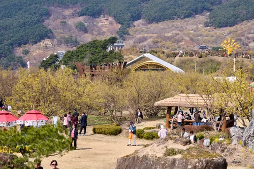 구례산수유꽃축제, ‘노란 설렘’ 안고 9일간 성료… 체험·참여 혁신 평가