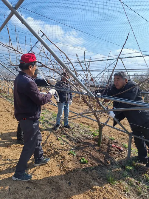 함평군, 세대 공감 농업인상담소 가동…맞춤형 영농지원 본격화