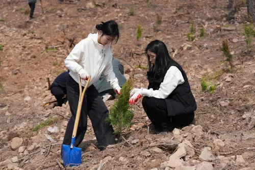 전남도, 여수 묘도 산단 주변서 건강한 숲 복원 나무심기