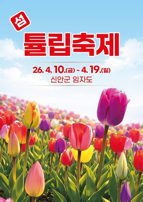 봄의 전령물 100만 송이, 신안군 ‘2026 섬 튤립축제’ 4월 10일 개막