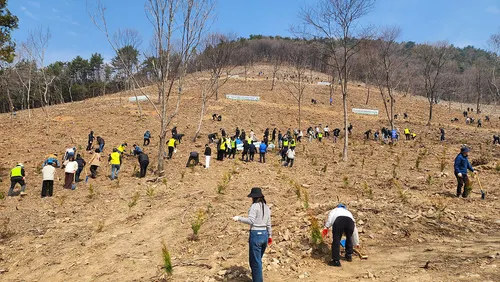 여수시, 제81회 식목일 맞아 묘도동에 4천 그루 나무심기